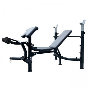 Ghế tập tạ đa năng cho DDS-7002