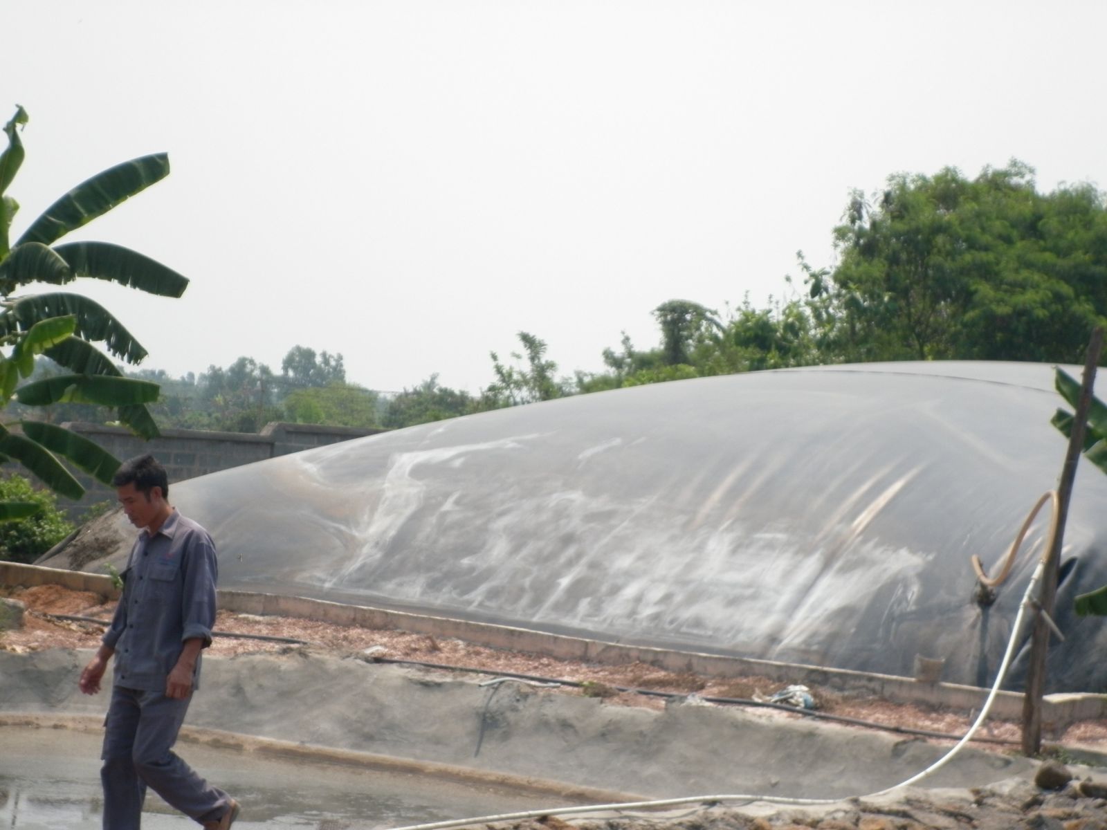 Làm cách nào để tăng hiệu suất xử lý hầm Biogas?