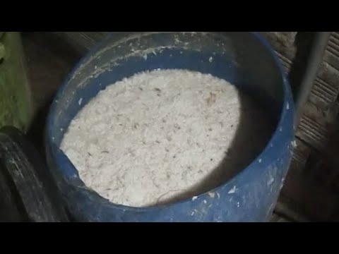 Bã hèm rượu gạo có thành phần dinh dưỡng bao nhiêu? Có làm nguyên liệu sản xuất khí biogas được không?